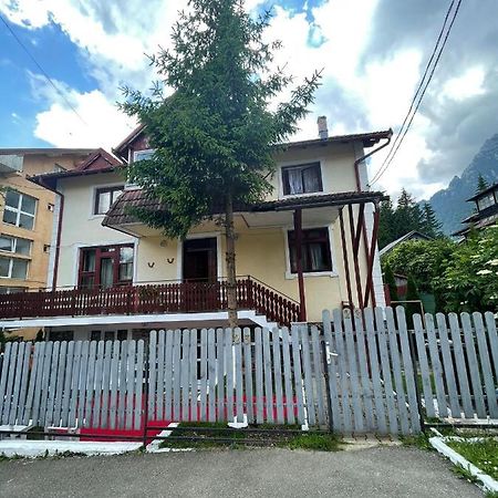 Constantinescu A. Hotell Buşteni Exteriör bild