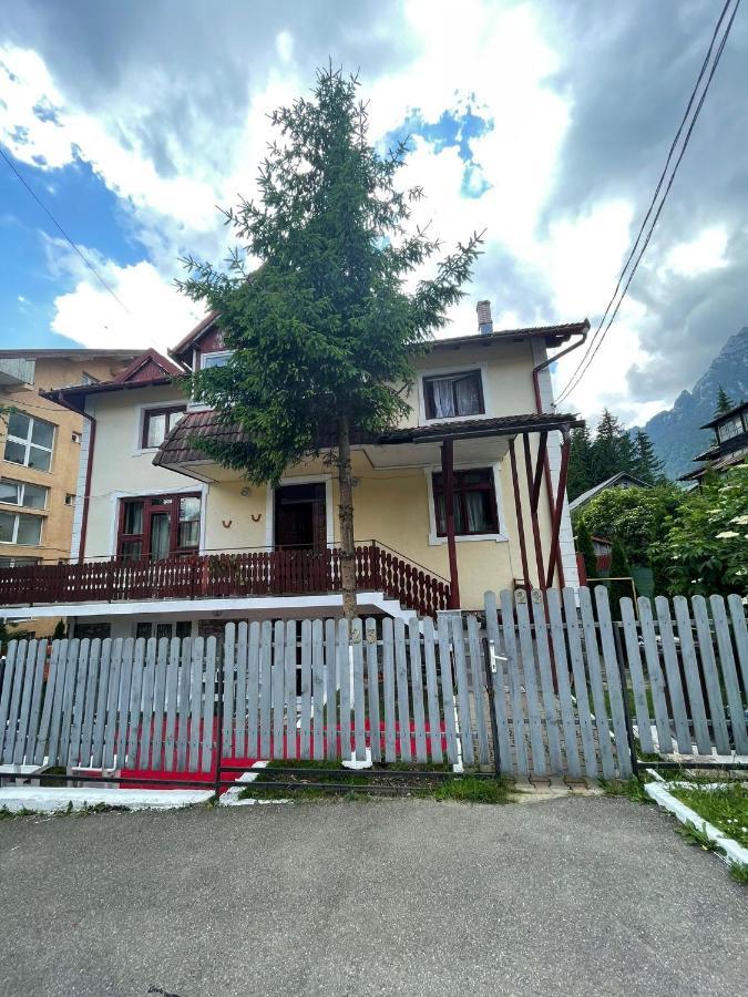 Constantinescu A. Hotell Buşteni Exteriör bild