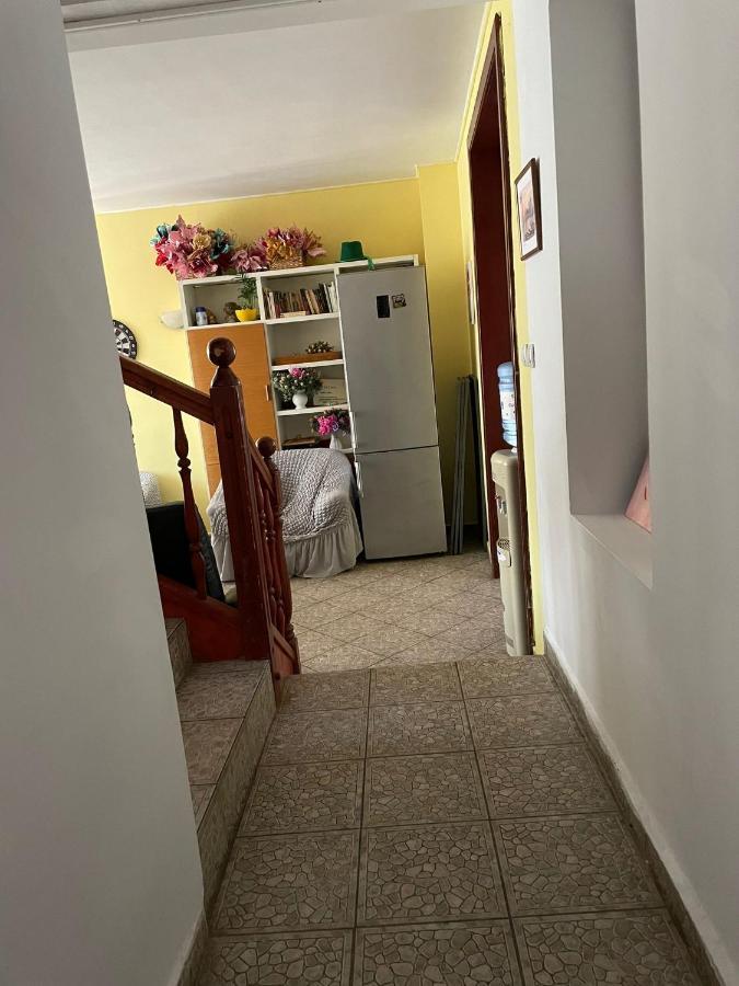 Constantinescu A. Hotell Buşteni Exteriör bild