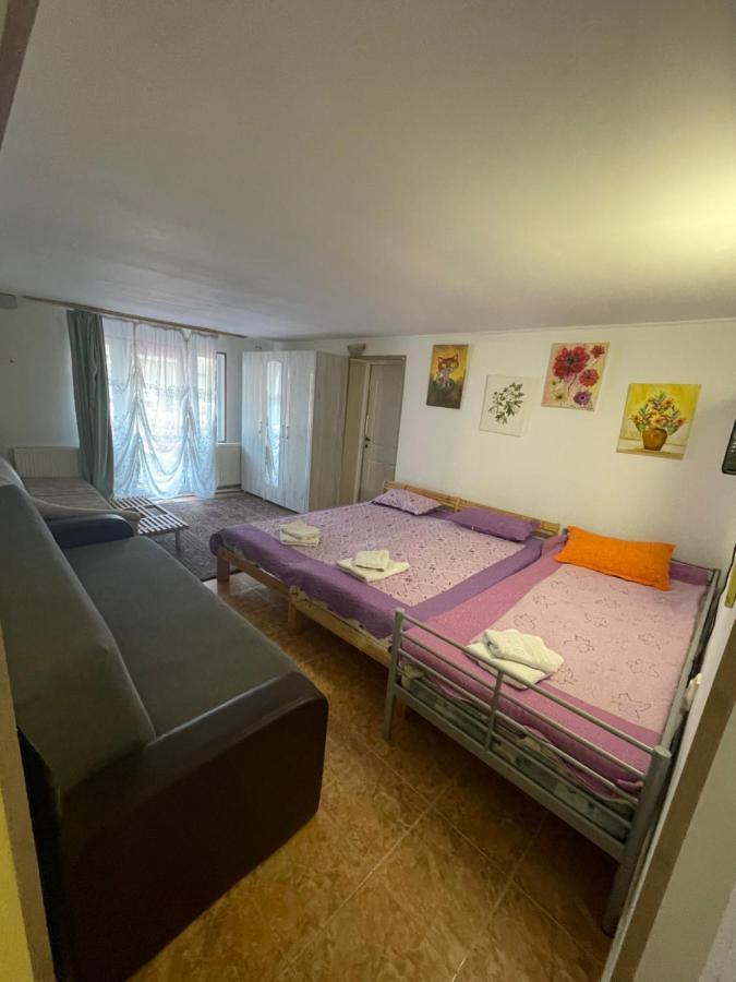 Constantinescu A. Hotell Buşteni Exteriör bild