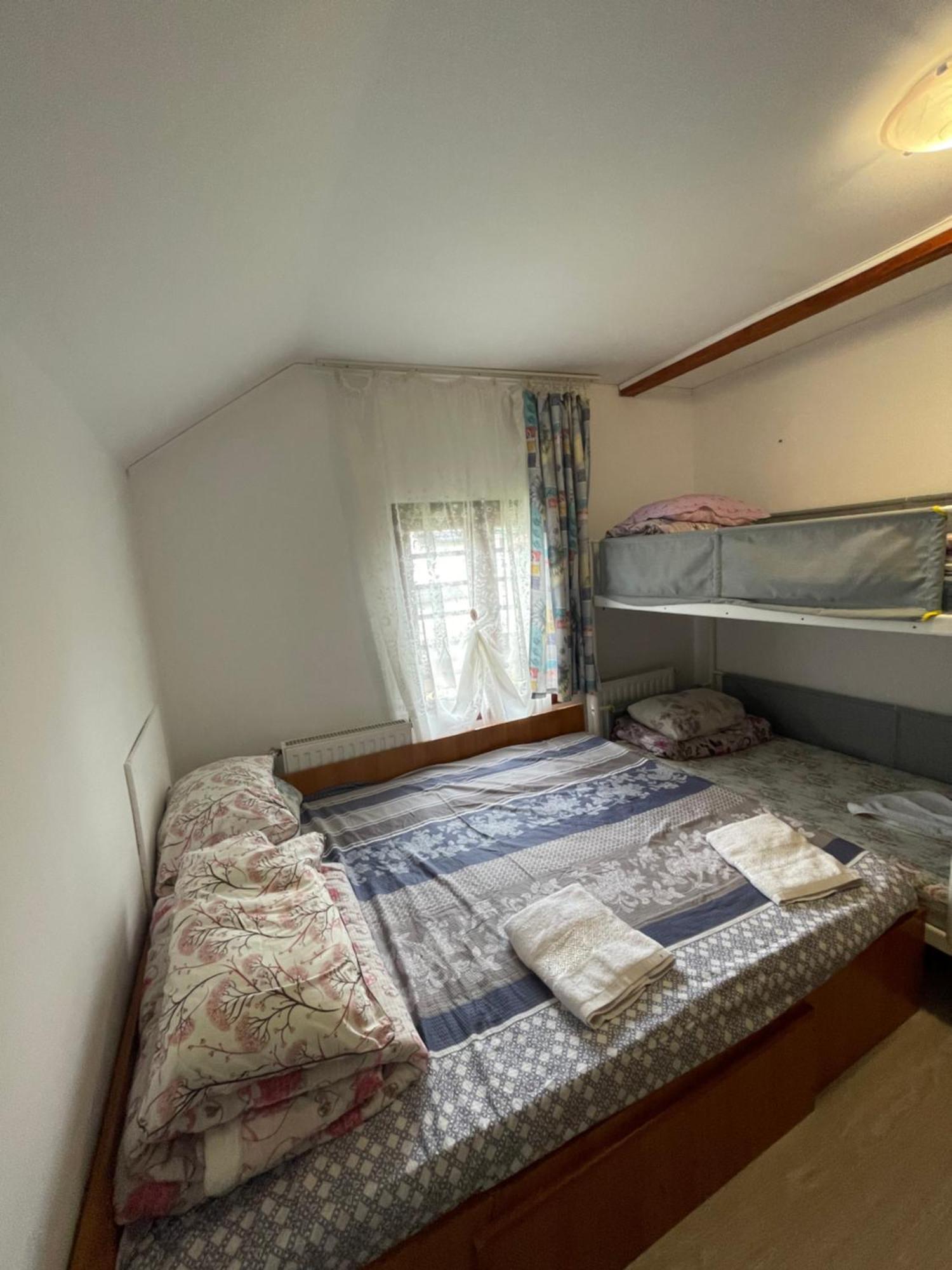Constantinescu A. Hotell Buşteni Exteriör bild