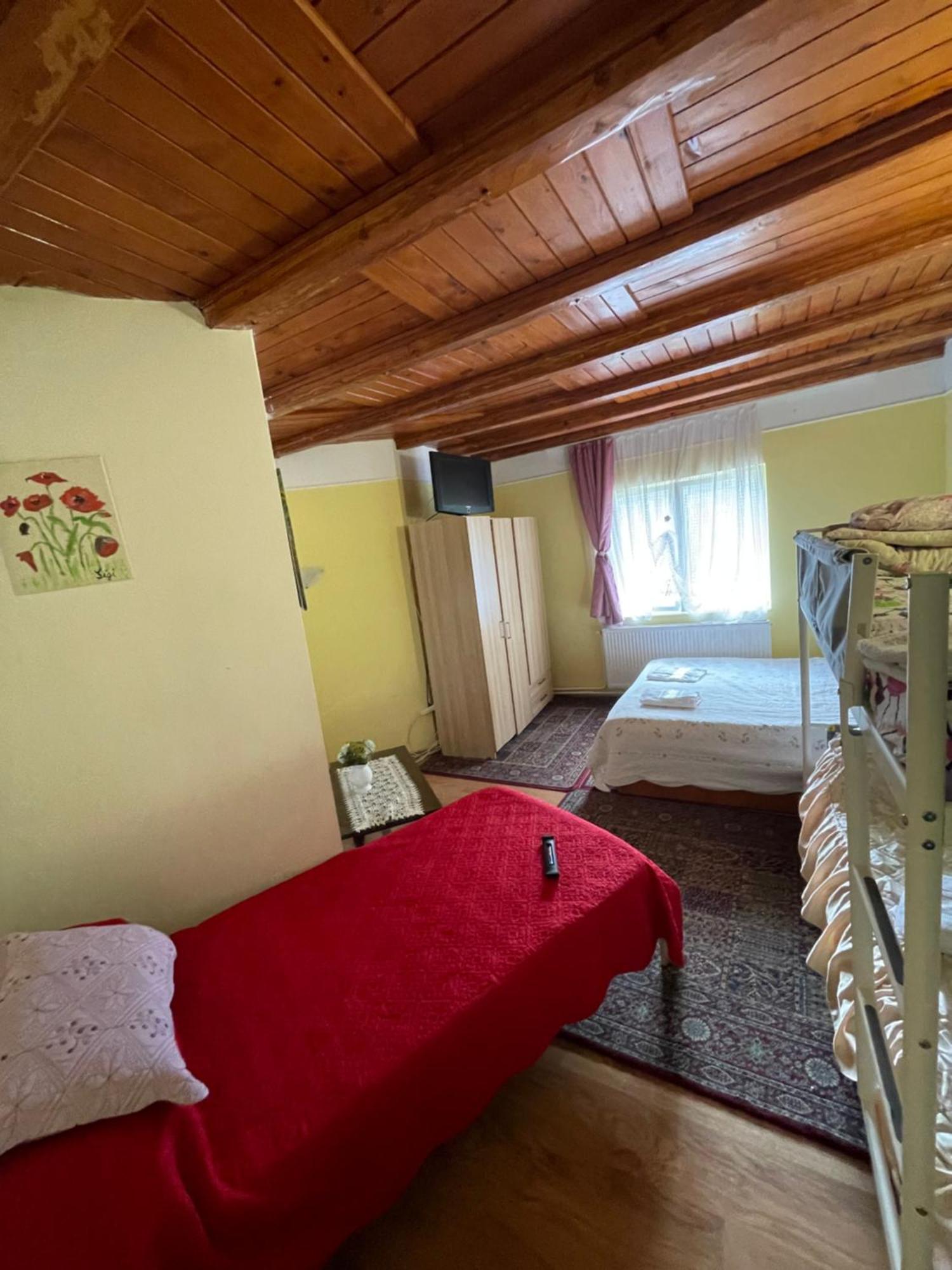 Constantinescu A. Hotell Buşteni Exteriör bild