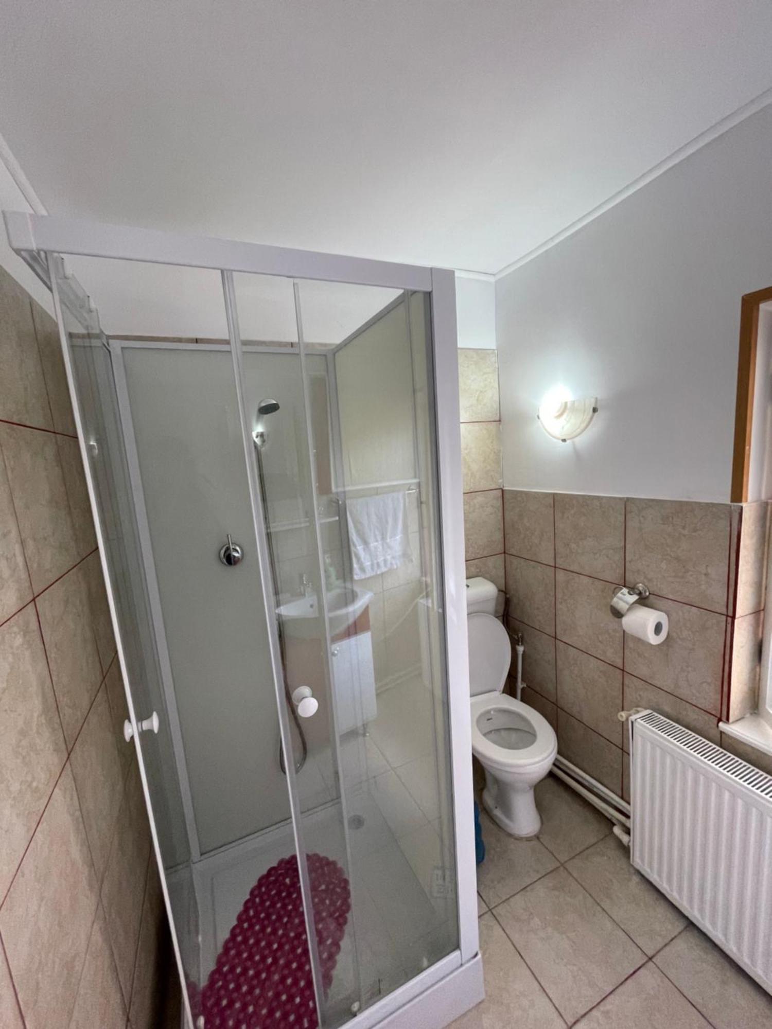 Constantinescu A. Hotell Buşteni Exteriör bild