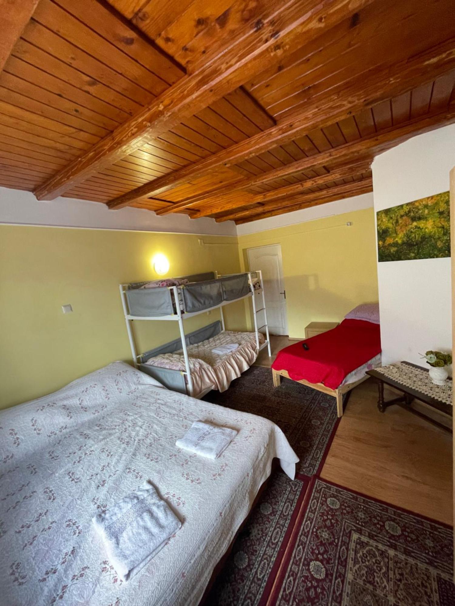 Constantinescu A. Hotell Buşteni Exteriör bild