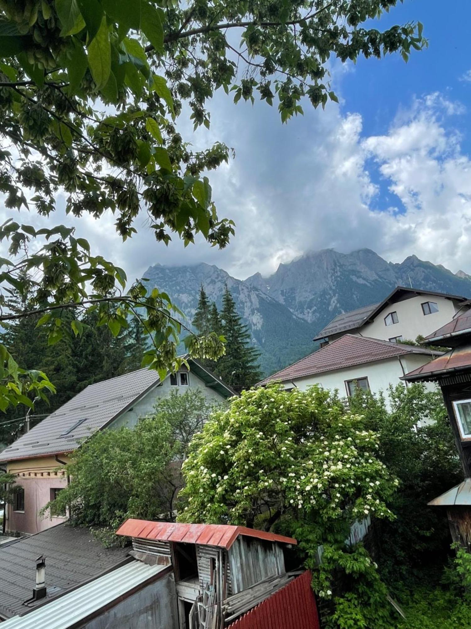 Constantinescu A. Hotell Buşteni Exteriör bild