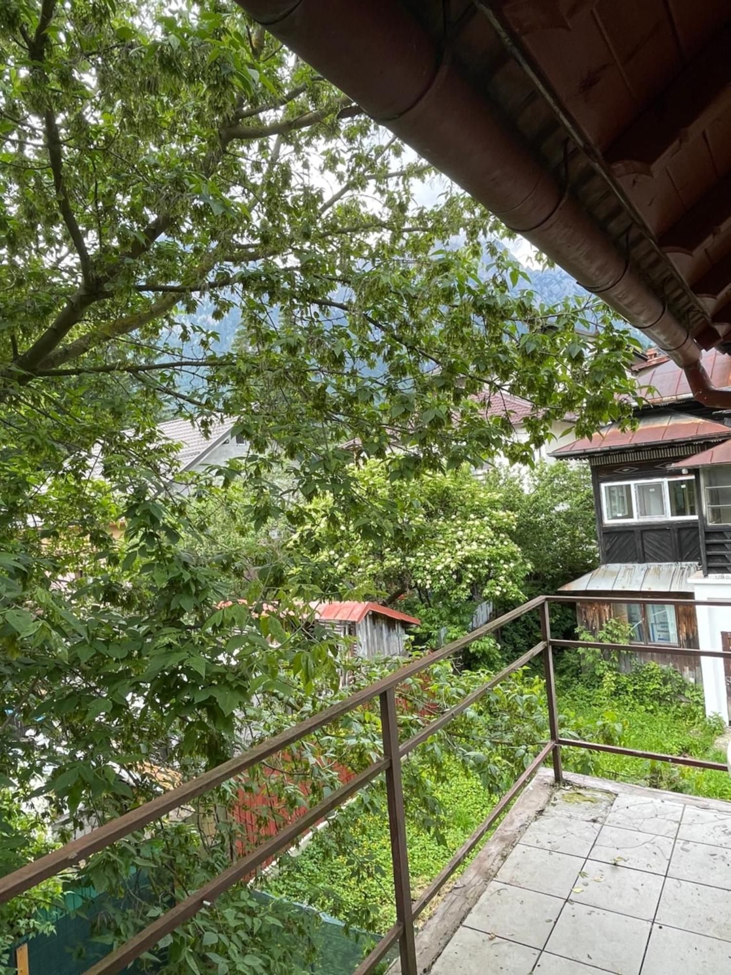 Constantinescu A. Hotell Buşteni Exteriör bild