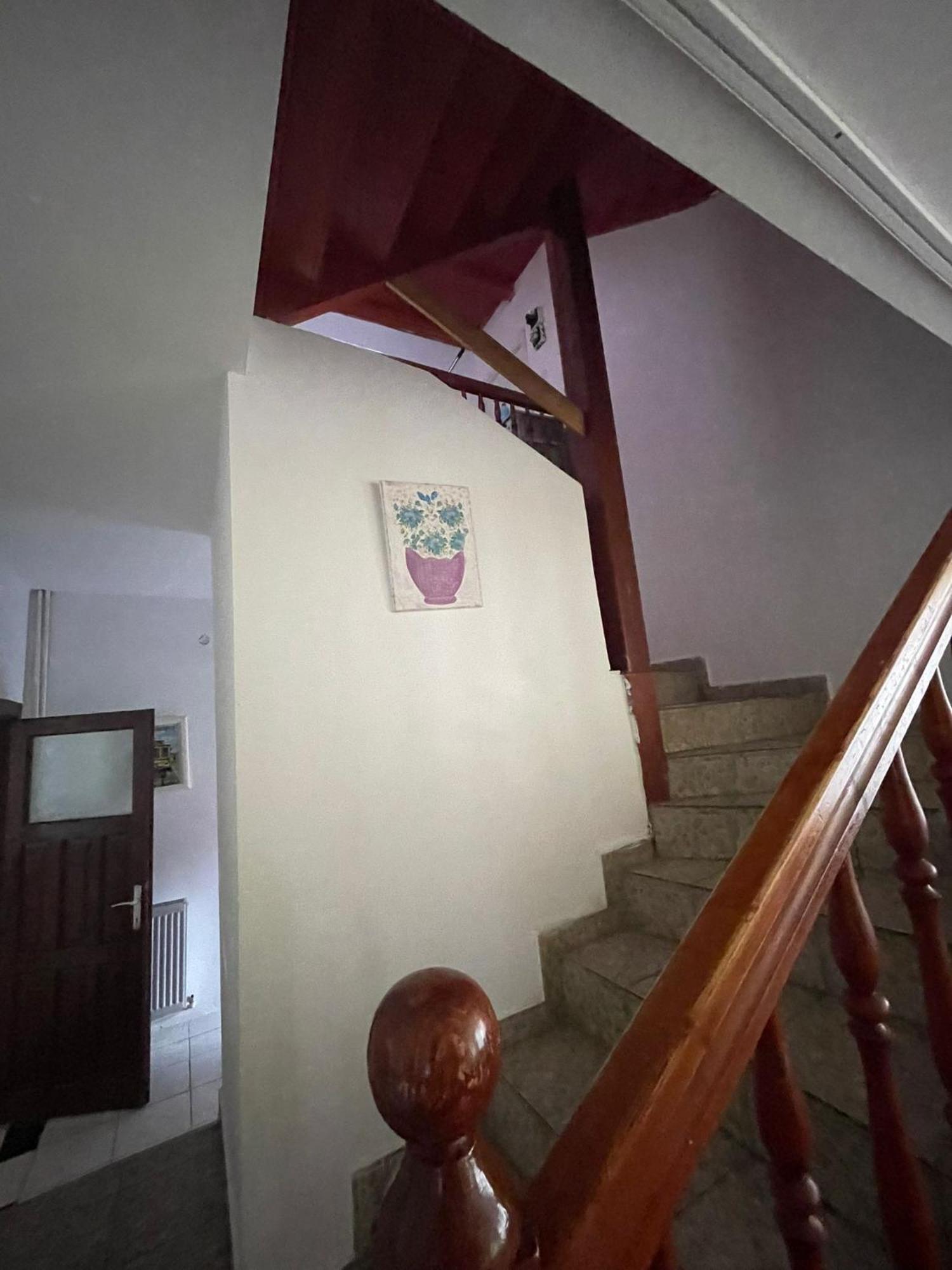 Constantinescu A. Hotell Buşteni Exteriör bild